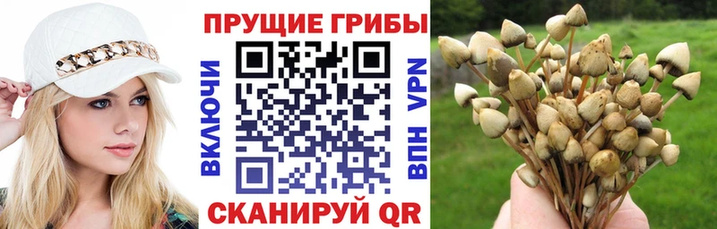 Псилоцибиновые грибы MAGIC MUSHROOMS  Избербаш 